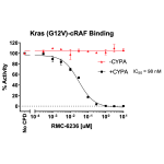 Kras (G12V)/cRAF/CYPA/Inhibitor Assay Kit
